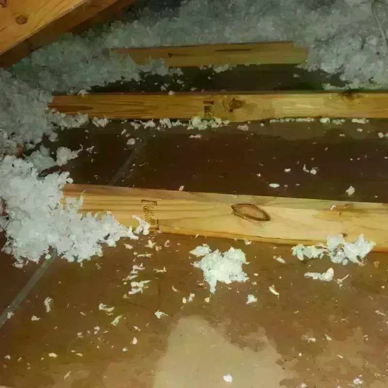 Attic Water Damage in Italy, TX