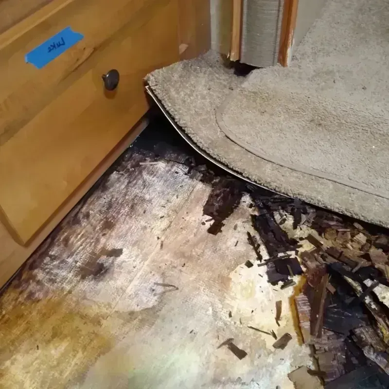 Wood Floor Water Damage in Italy, TX